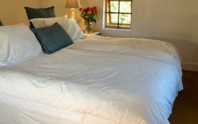 Owls Nest Western Cape
